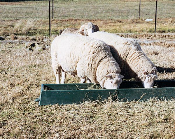 M-Series-Feed-Trough