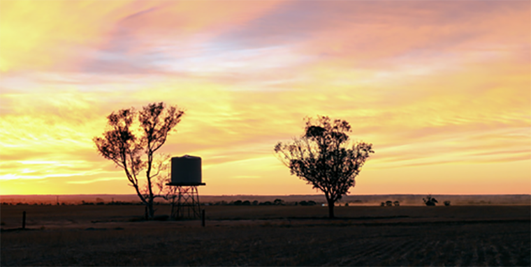 How Rainwater Tanks Can Help Your Farm