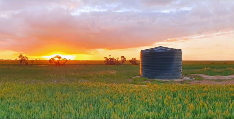 poly water tank in a farm