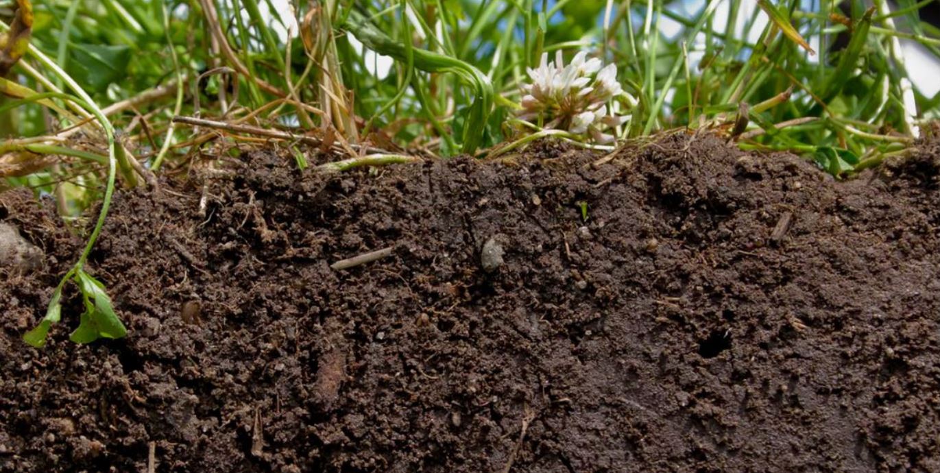 healthy farm soil