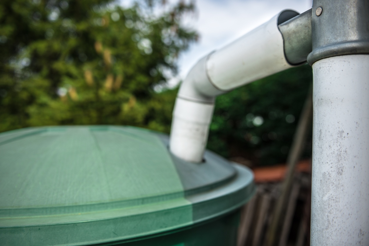 rainwater collection